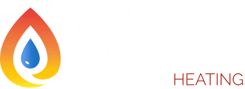 dmh logo image